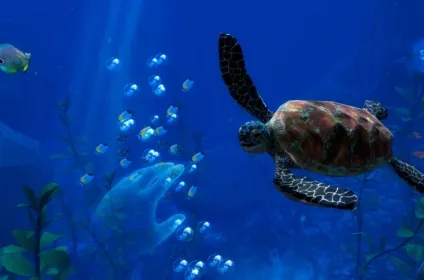 Океанический Риф (Ocean Rift)